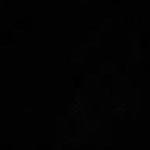 Meet your Posher, Adrianna